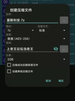 [自行打包] Maggie乔安✔8V 2.89G [8+2.89GB][百度盘]